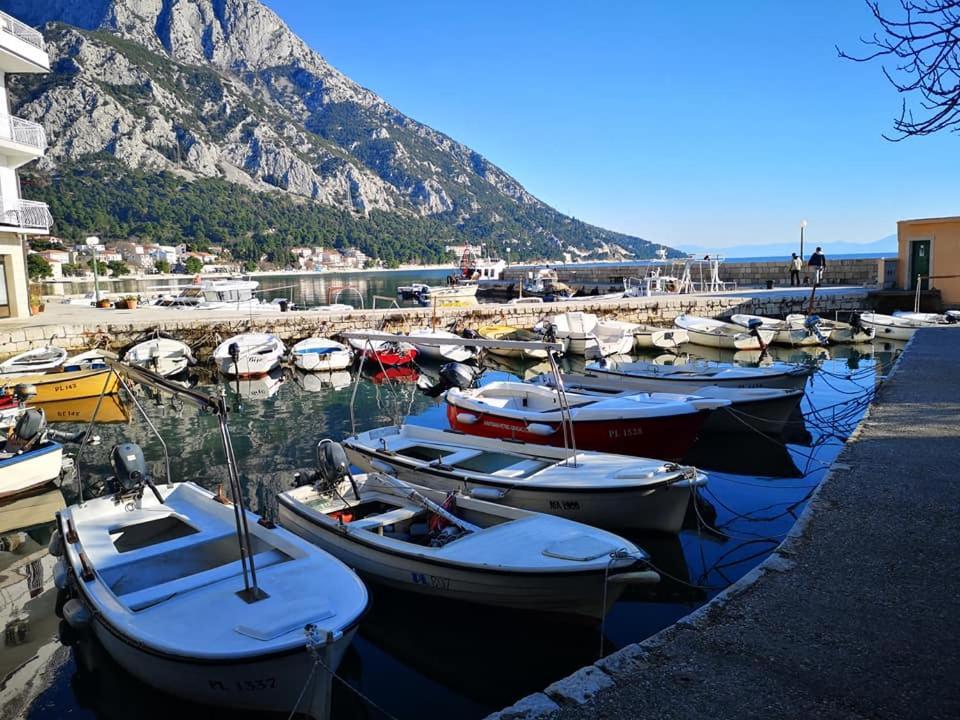 Apartment Ana - Gradac غراداك المظهر الخارجي الصورة