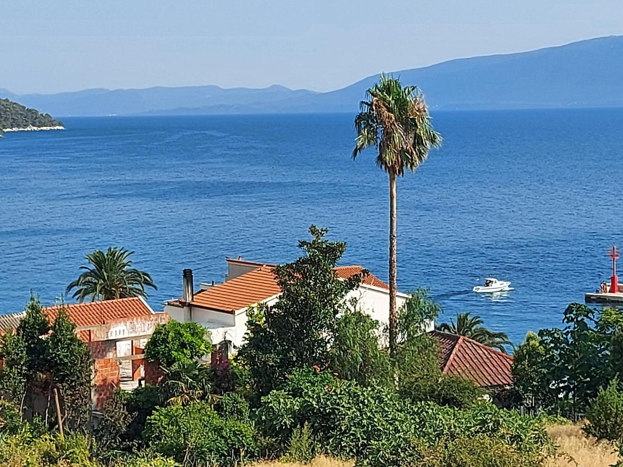 Apartment Ana - Gradac غراداك المظهر الخارجي الصورة